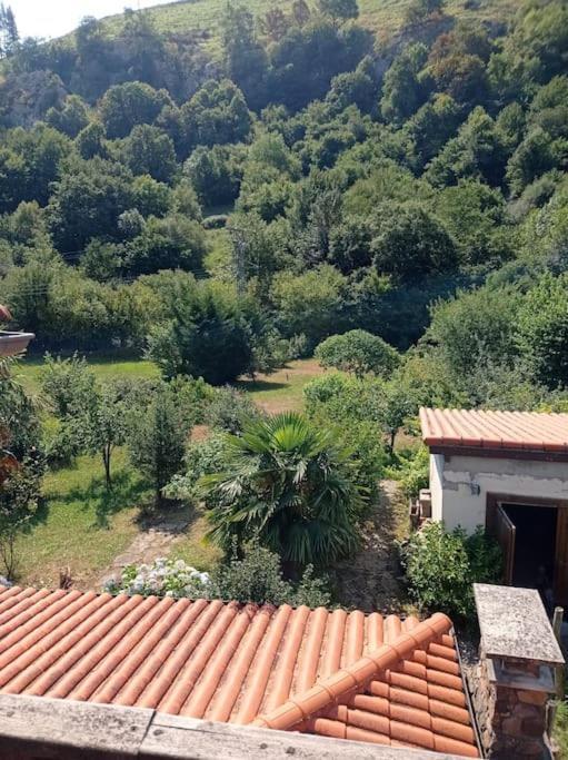 Amplia Y Comoda Casa De Piedra Con Porche Y Jardin San Roque de Ríomiera Exterior foto